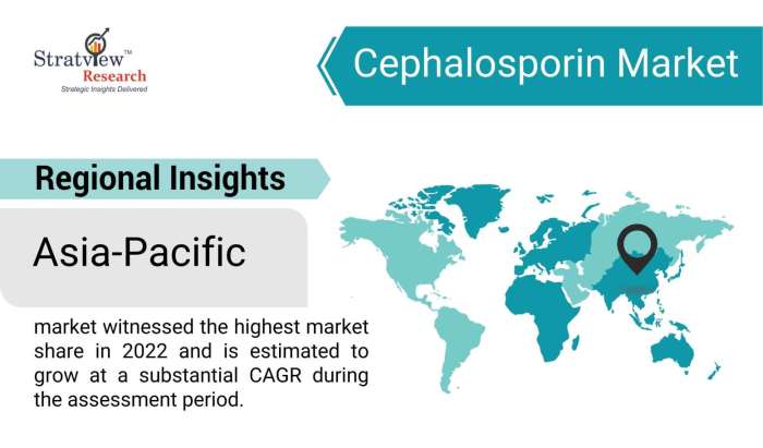 Cephalosporin-Market-Regional-Insights
